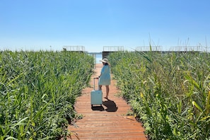 A wooden pathway leading to a structure with a metal railing, surrounded by tall green vegetation. - Houseboat in Łazy by Lake Jamno and the Sea (Łazy)