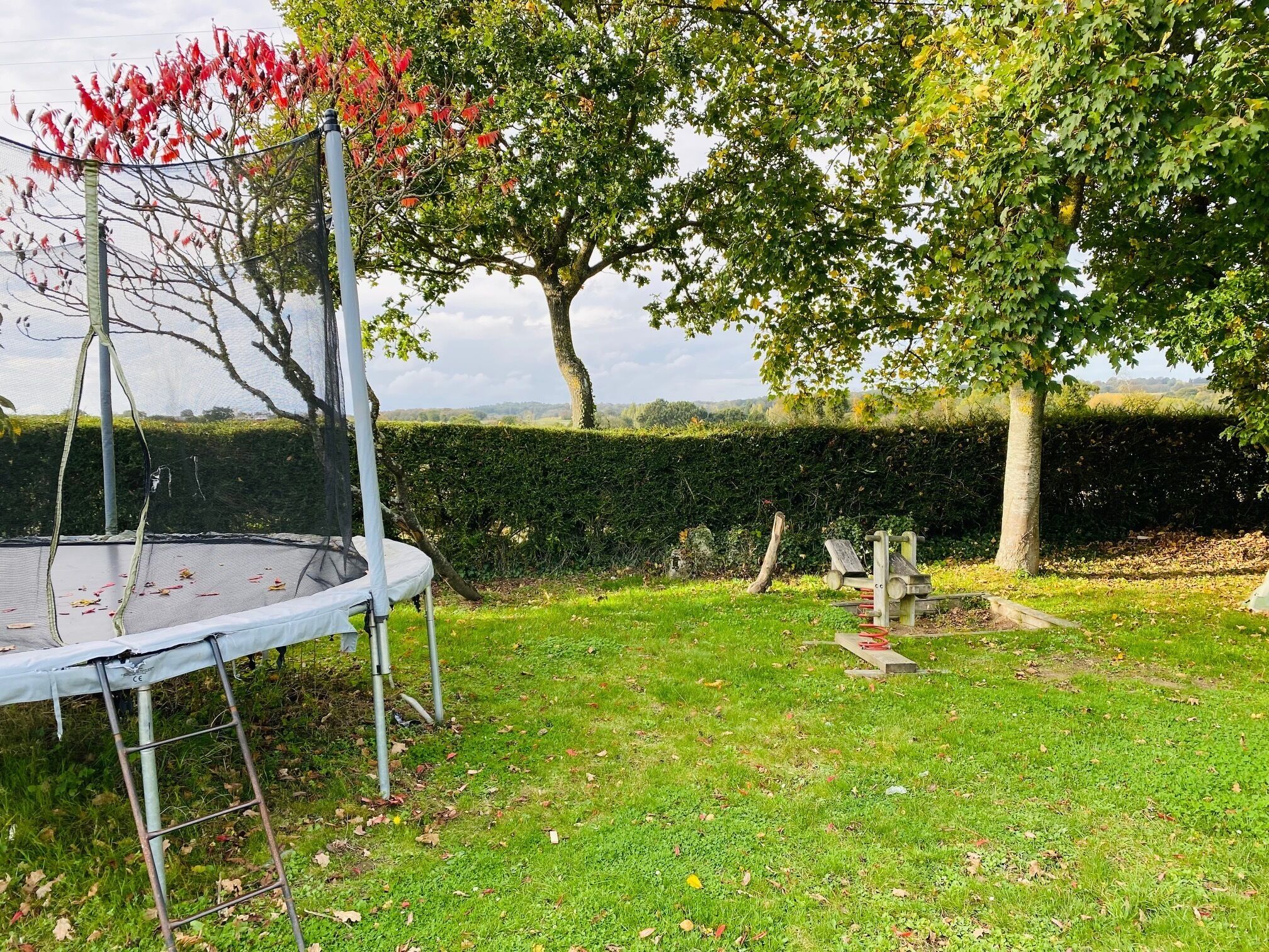 A trampoline in a grassy backyard with trees and a hedge.
