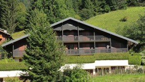 A chalet-style building with a sloped roof, multiple balconies, and a surrounding forested landscape. - Chalet de l'Oy OY2 NATURE & MOUNTAIN 3 pers. (Châtel)