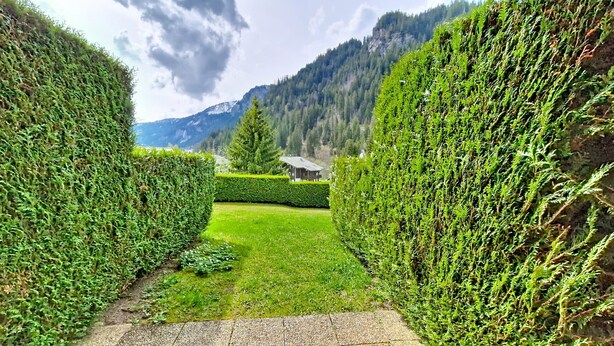 Property grounds - Chalet de l'Oy OY2 NATURE & MOUNTAIN 3 pers. (Châtel)