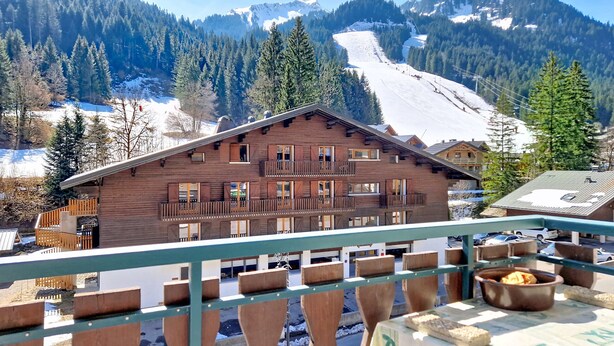 Property grounds - Moulin ML286 MOUNTAIN & TELECABINE 6 pers. (Châtel)