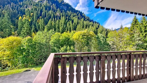 Un balcon offrant une vue sur une montagne boisée et un ciel dégagé.