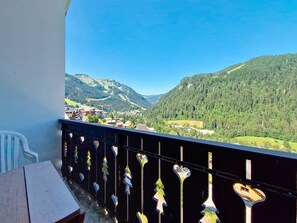 Property grounds - Castel des Neiges CSA7 CENTRE & VIEW  6 Pers. (Châtel)