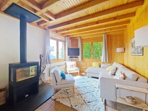 Televisión y chimenea