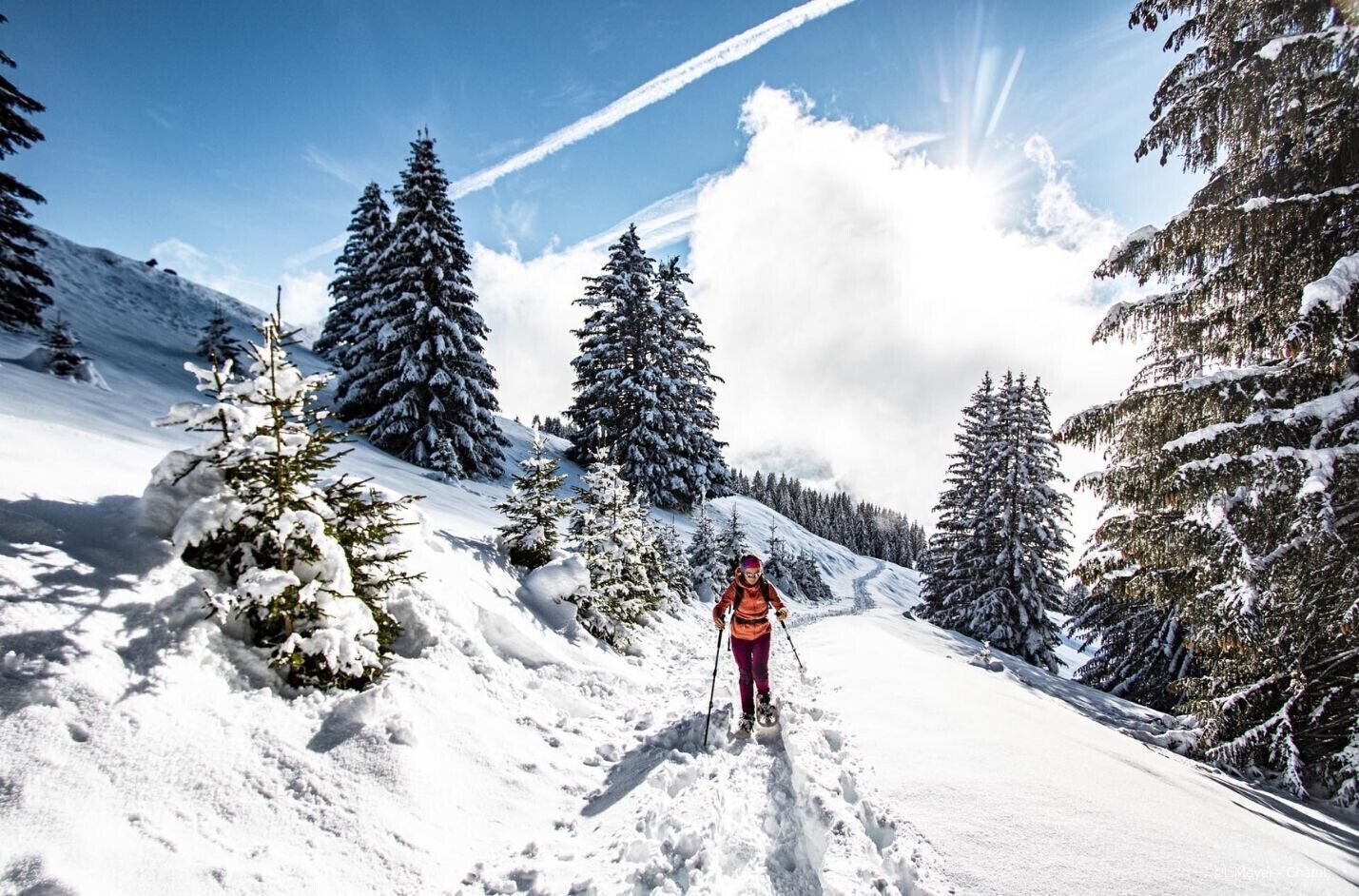 Snow and ski sports