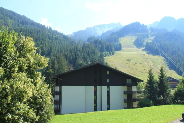 Exteriör