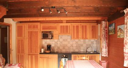 Petit Savoyard PY9 MOUNTAIN & COSY 6 Pers