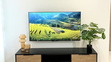 Televisión de 55 pulgadas con canales digitales, Netflix