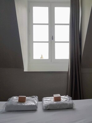 3 bedrooms, desk, iron/ironing board, free WiFi - Superb apartment - heart of old town -  Cathedral view  (Vannes)