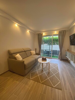 TV - 1 Bedroom Apartment in Cannes (Cannes)