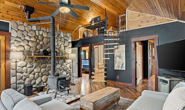 Smart TV, fireplace, video games, computer monitors