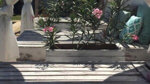Een overdekte buitenruimte met witte gordijnen, een houten terras en potplanten.
