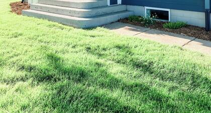 Beautiful cozy country home located on 12 acres in a great farming community.