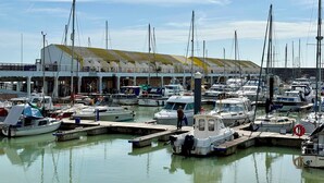 A marina with multiple boats docked, a building with a flat roof, and a person standing on a dock.