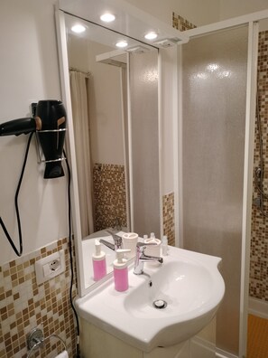Shower, free toiletries, hair dryer, bidet