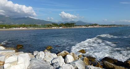 New flat in the center of Viareggio