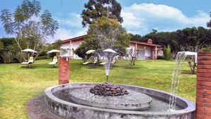 A circular water feature with a central rock arrangement, surrounded by a brick wall. - Eucaliptos Med Spa (Zitácuaro)