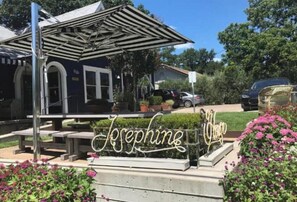 Property grounds - Incredible Oasis- Walk and Shop, SXSW, Nightlife!!

 (Austin)
