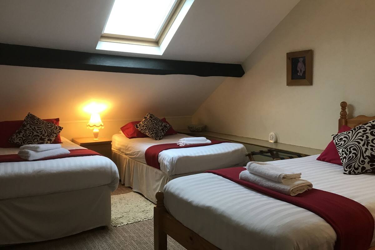 A room with three beds, a skylight, a bedside table with a lamp, and a framed picture on the wall.