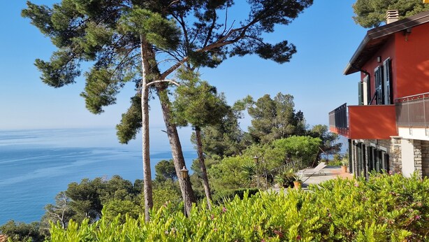 Une propriété située sur la côte, avec un pin remarquable, un bâtiment en pierre à la façade rouge et une vue sur la mer.