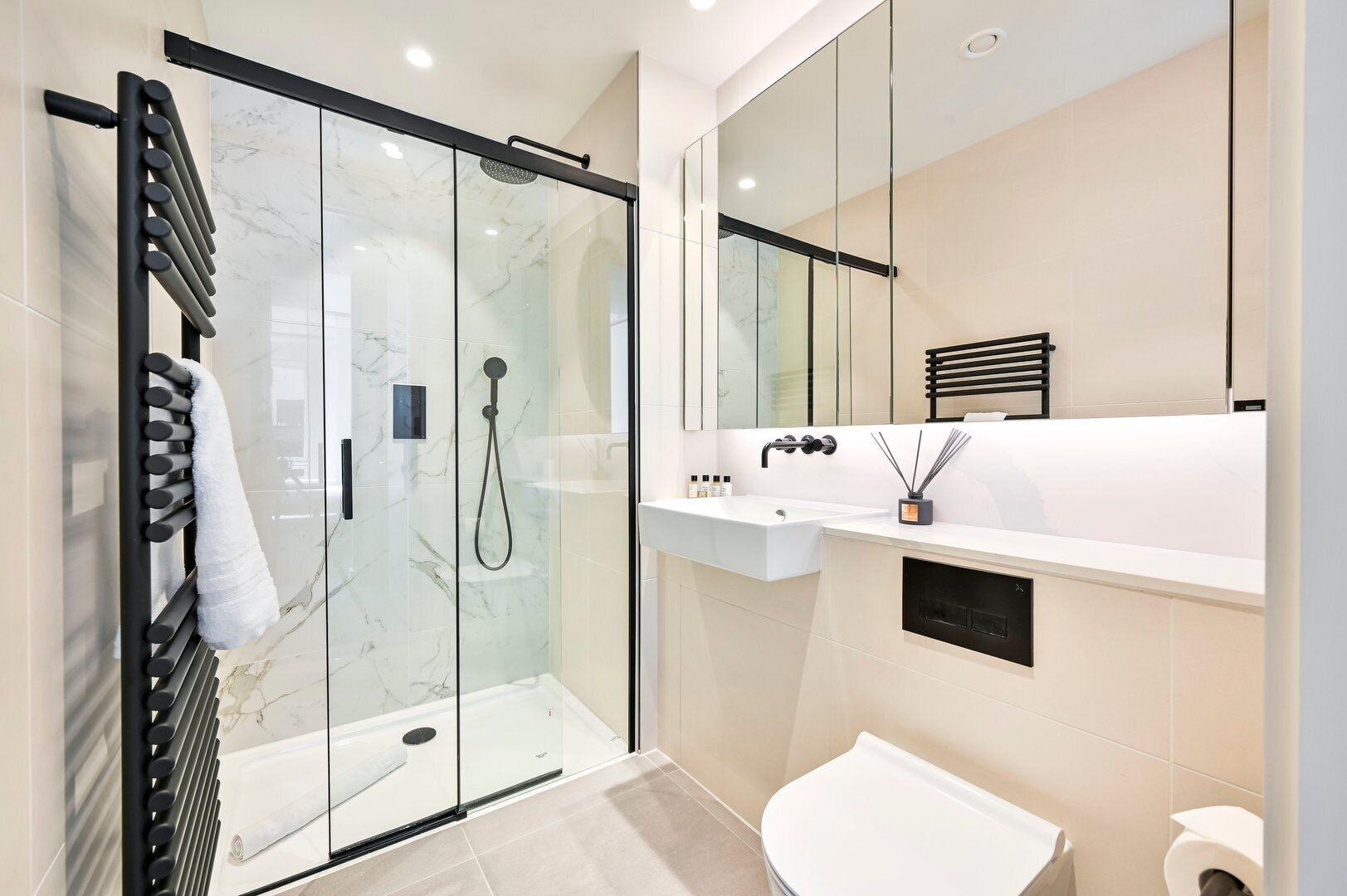 Shower, hair dryer, towels