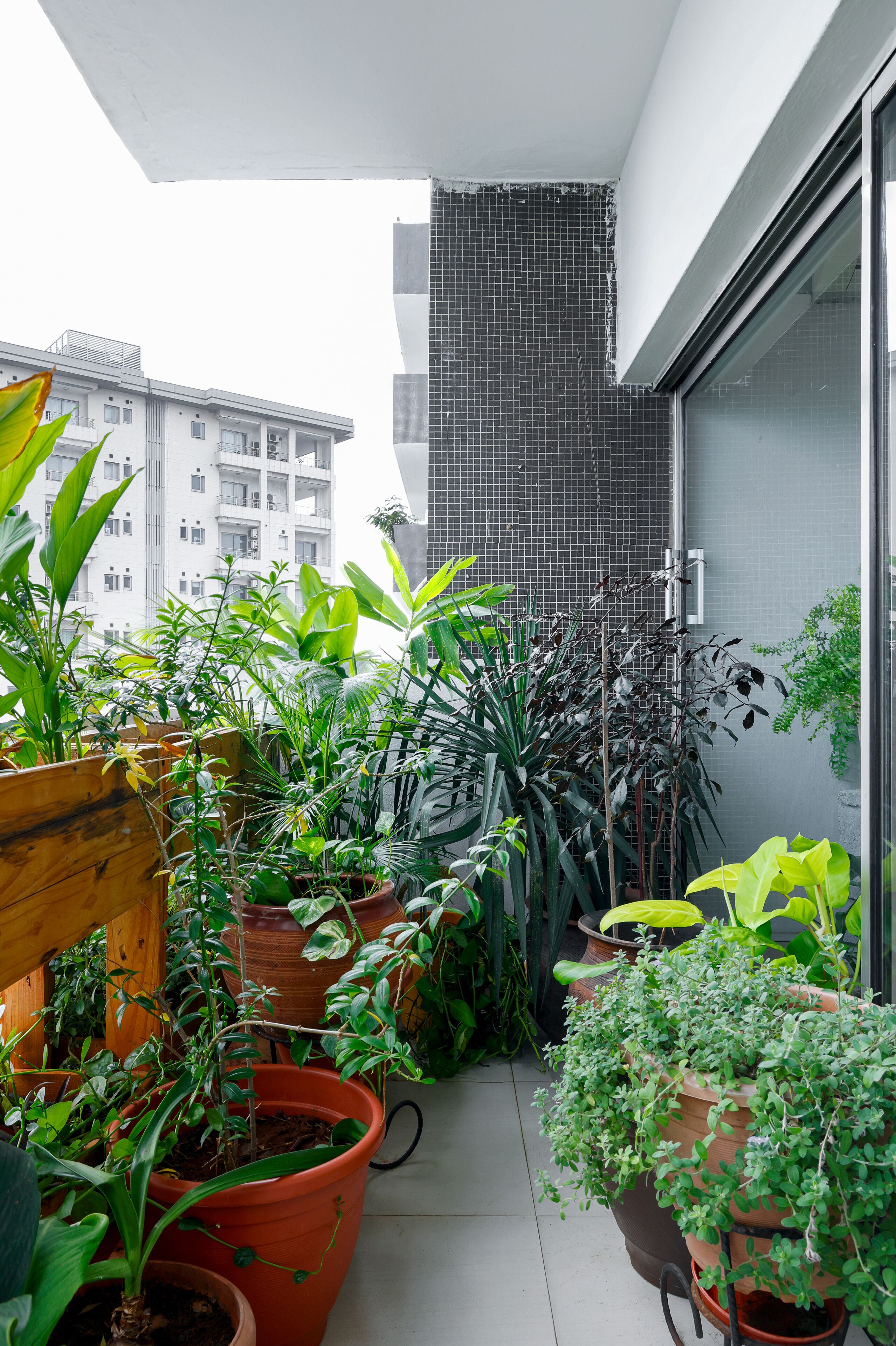 Vue depuis le balcon