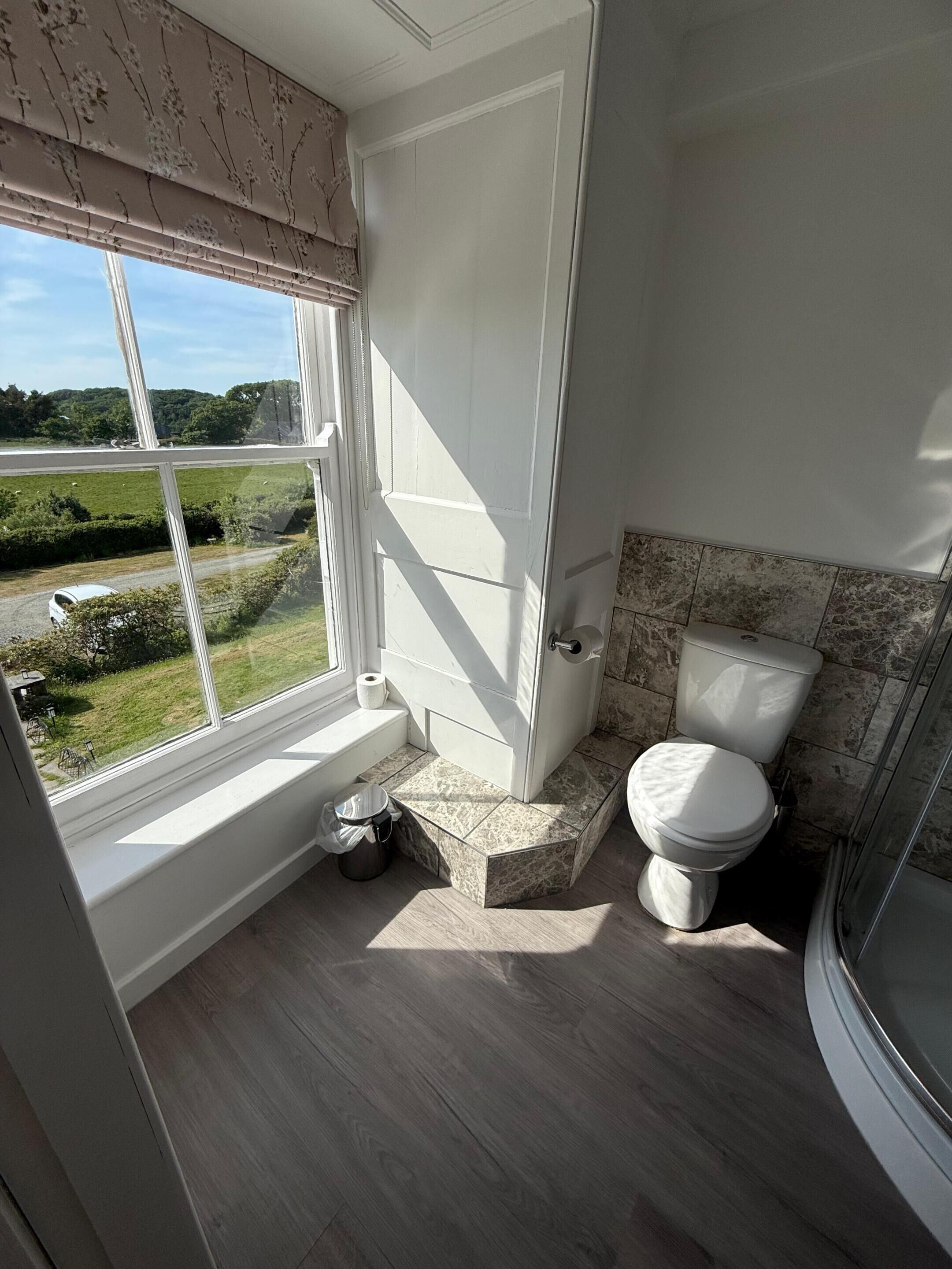 A bathroom with a toilet, a shower, and a window with a view of a green landscape.