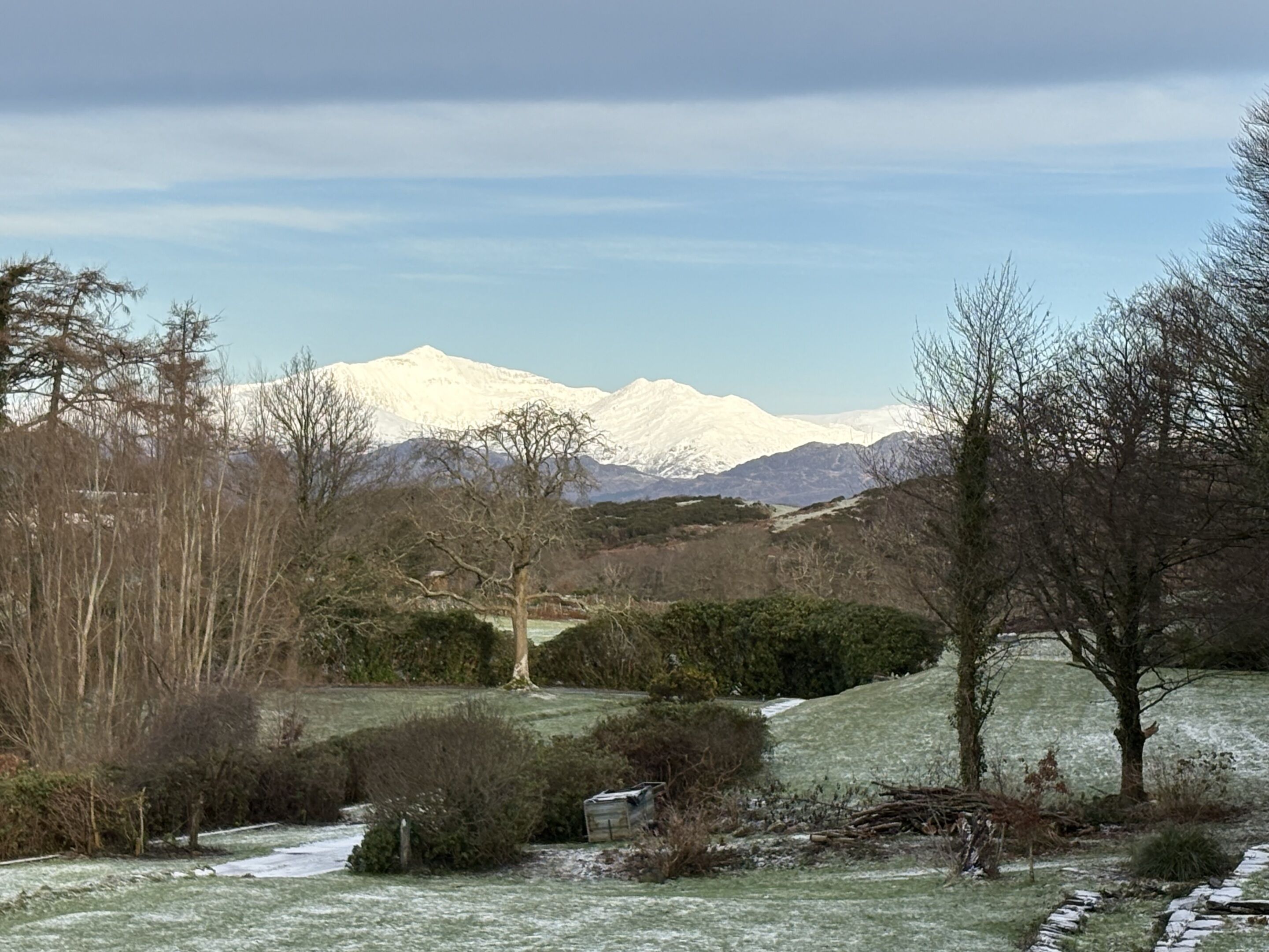 A mountainous landscape with snow-covered peaks and a foreground of trees and shrubs.