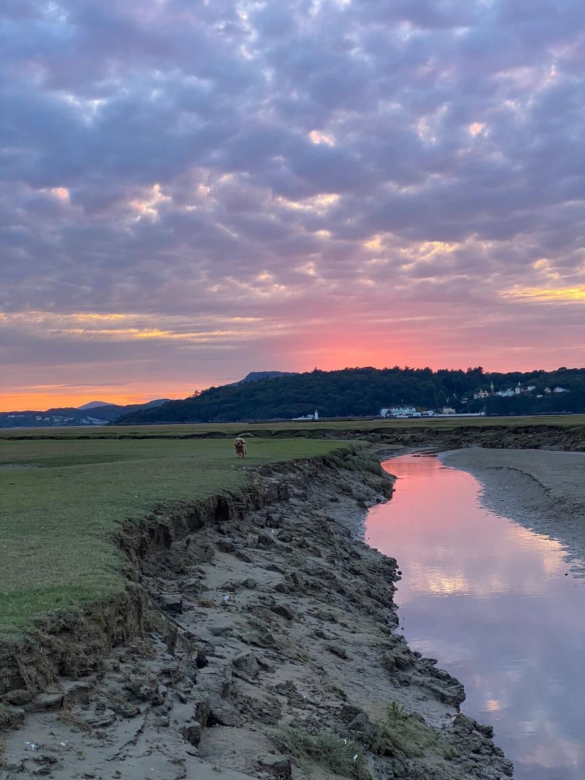 A coastal landscape with a muddy riverbank, grassy fields, and a distant hill with buildings.