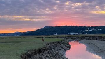 A coastal landscape with a muddy riverbank, grassy fields, and a distant hill with buildings.