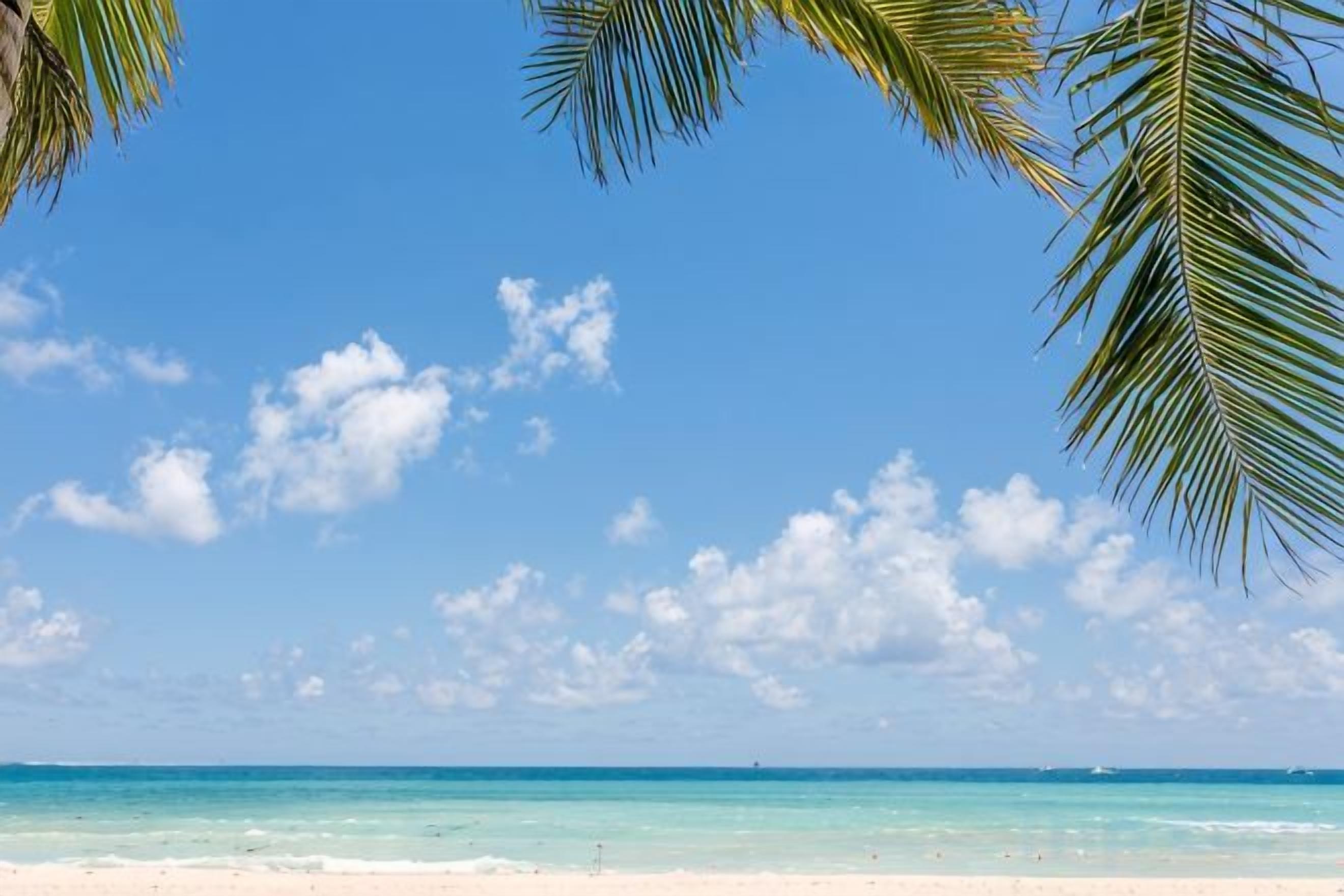 A beach with clear skies and calm waters.