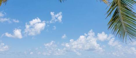 A beach with clear skies and calm waters.