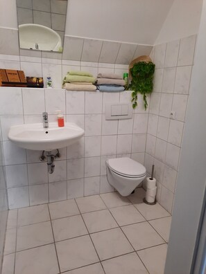 Kylpyhuoneessa on valkoinen pesuallas, wc-istuin ja peili. Hyllyllä on pino pyyhkeitä ja seinällä roikkuu kasvi.