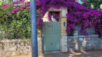 Un bâtiment avec une porte verte portant le numéro 59, entouré d’une luxuriante glycine pourpre.