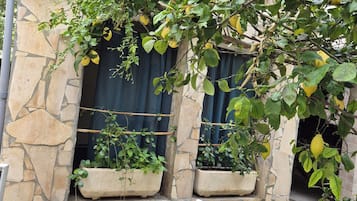 Un bâtiment en pierre doté d’une fenêtre, de plantes en pot et d’un moustiquaire.