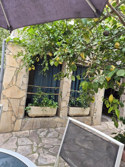 Charming downstairs villa