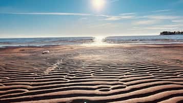 Plage, chaises longues, serviettes de plage