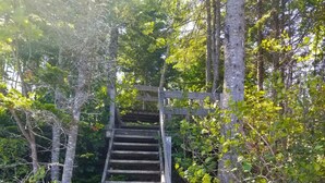 Eine Holztreppe führt einen über einen steinigen Pfad, der von dichtem Grün umgeben ist.