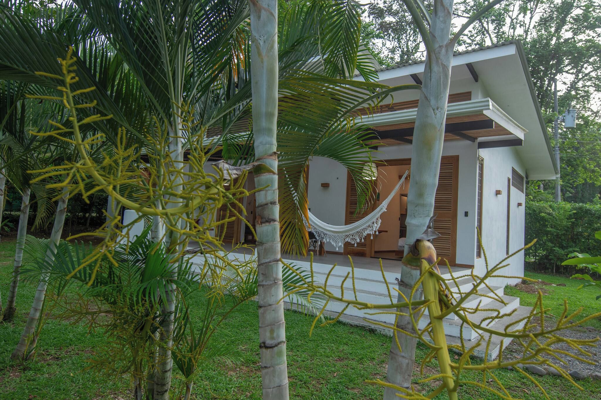A modern house with a hammock on the porch, surrounded by tropical vegetation.