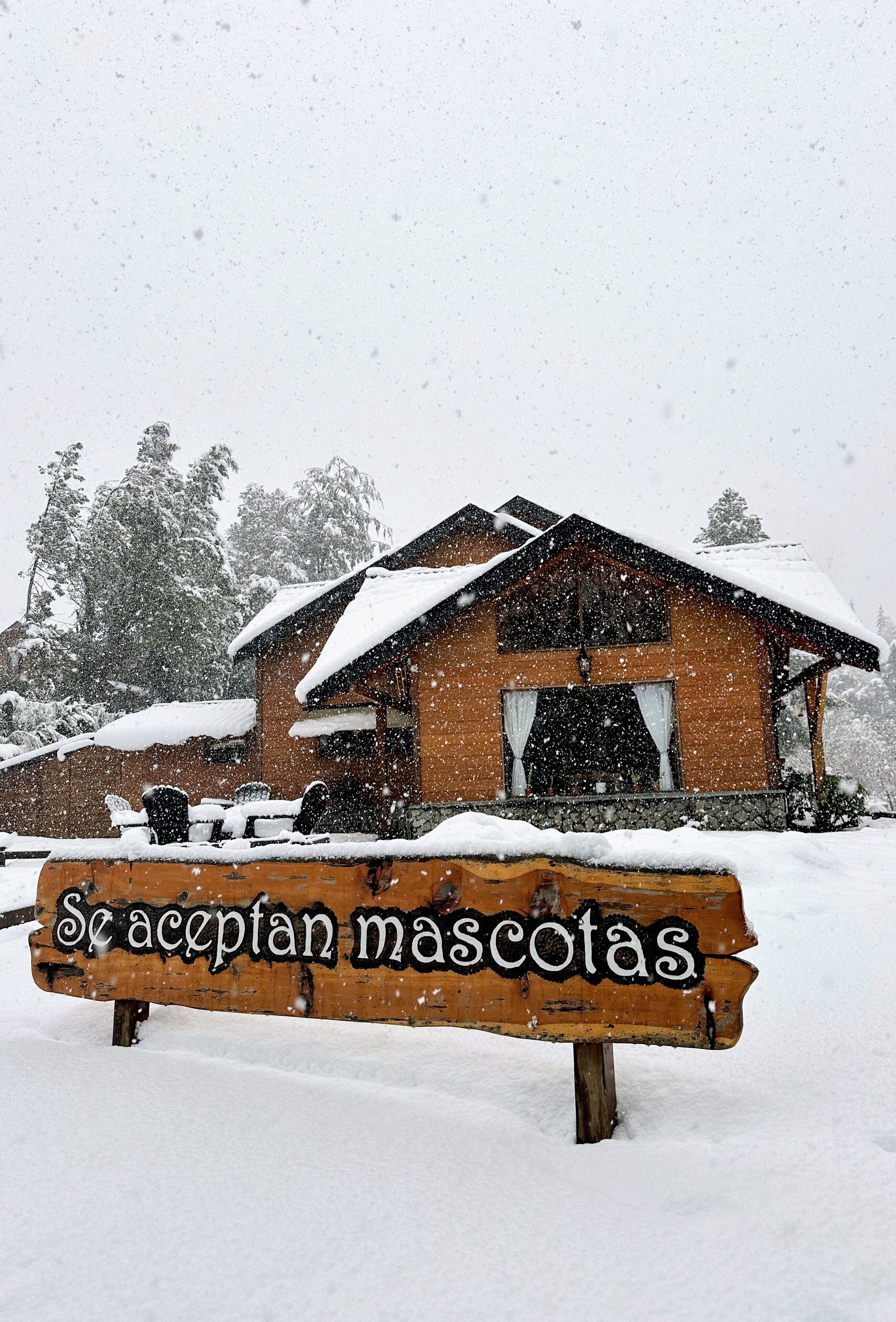 Acepta mascotas