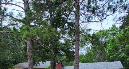 Beautiful Cabin near the AuSable River/Kayaks Included