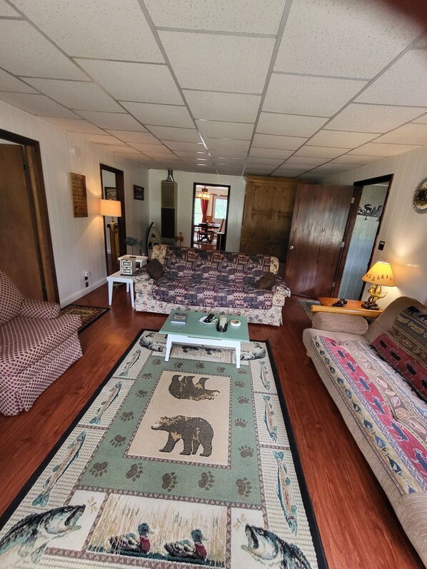 TV, fireplace, DVD player