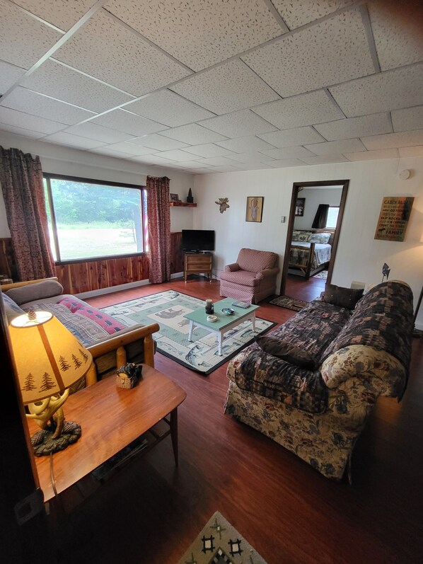 TV, fireplace, DVD player