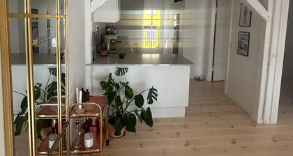 2 bedroom condo in kã¸benhavn