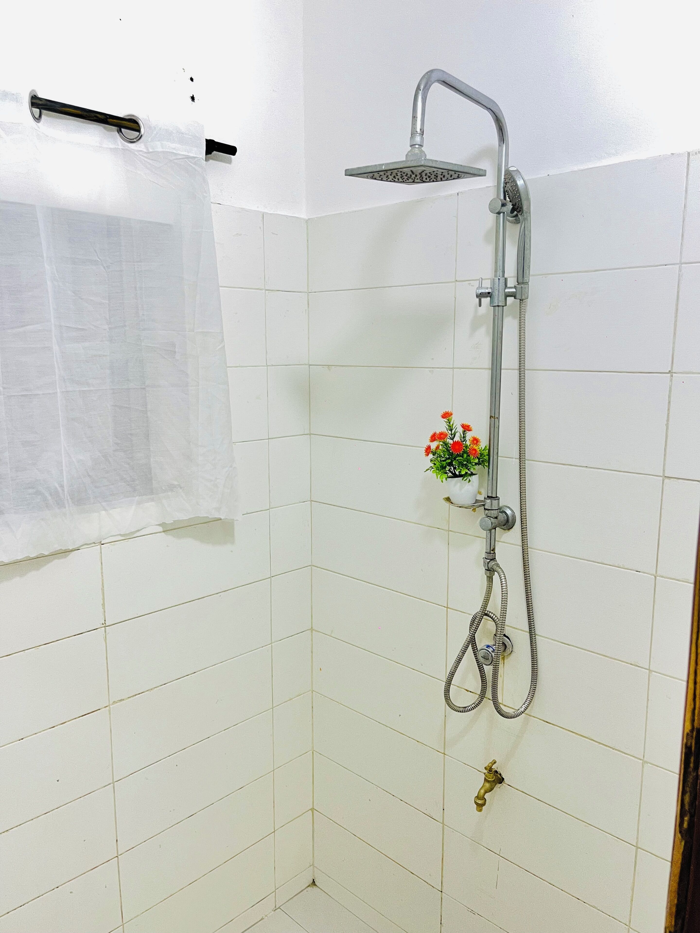 Serviettes fournies, papier toilette