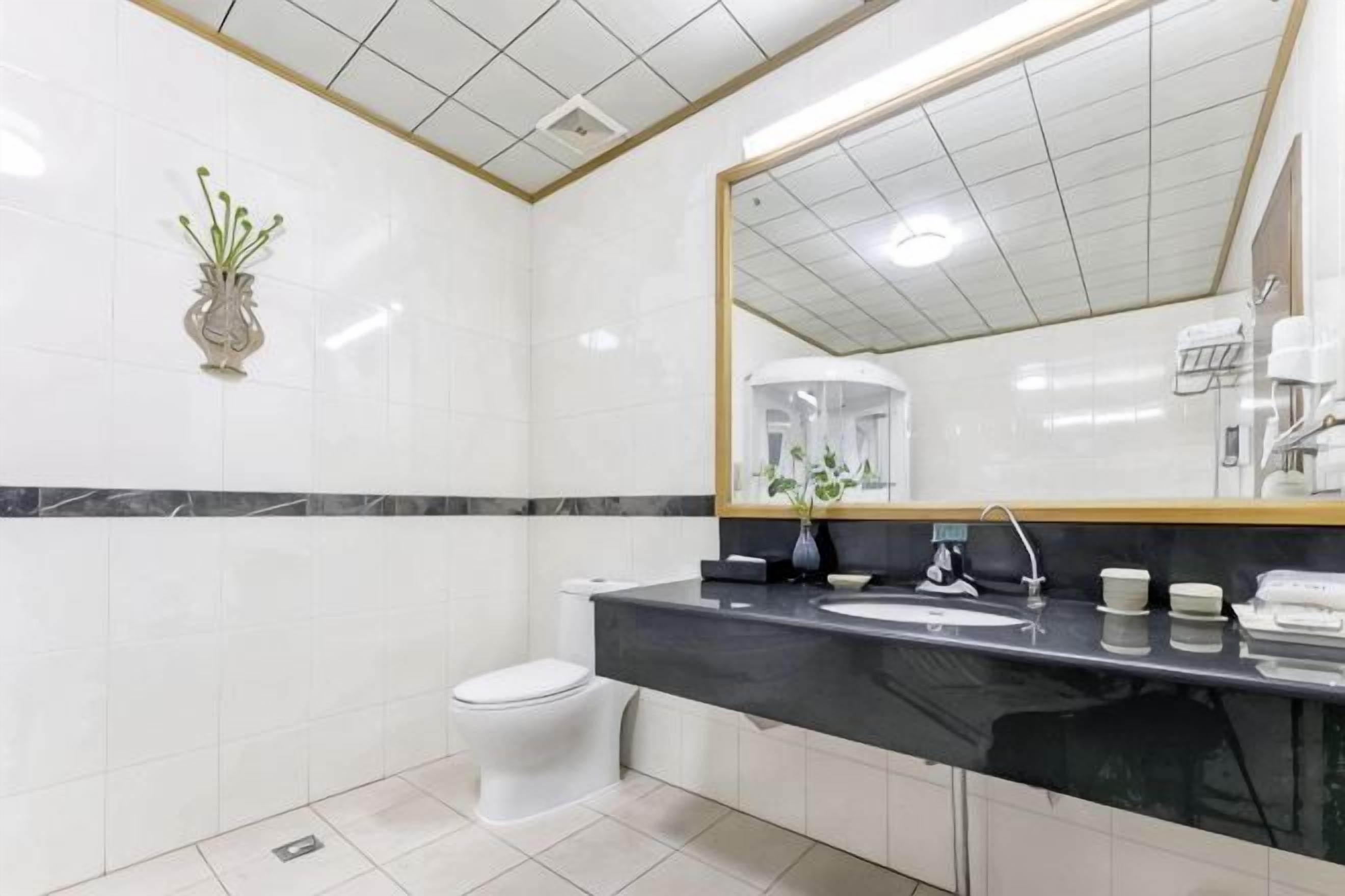 Un baño con inodoro blanco, lavamanos negro, espejo con marco dorado y un florero blanco con plantas verdes en la pared.