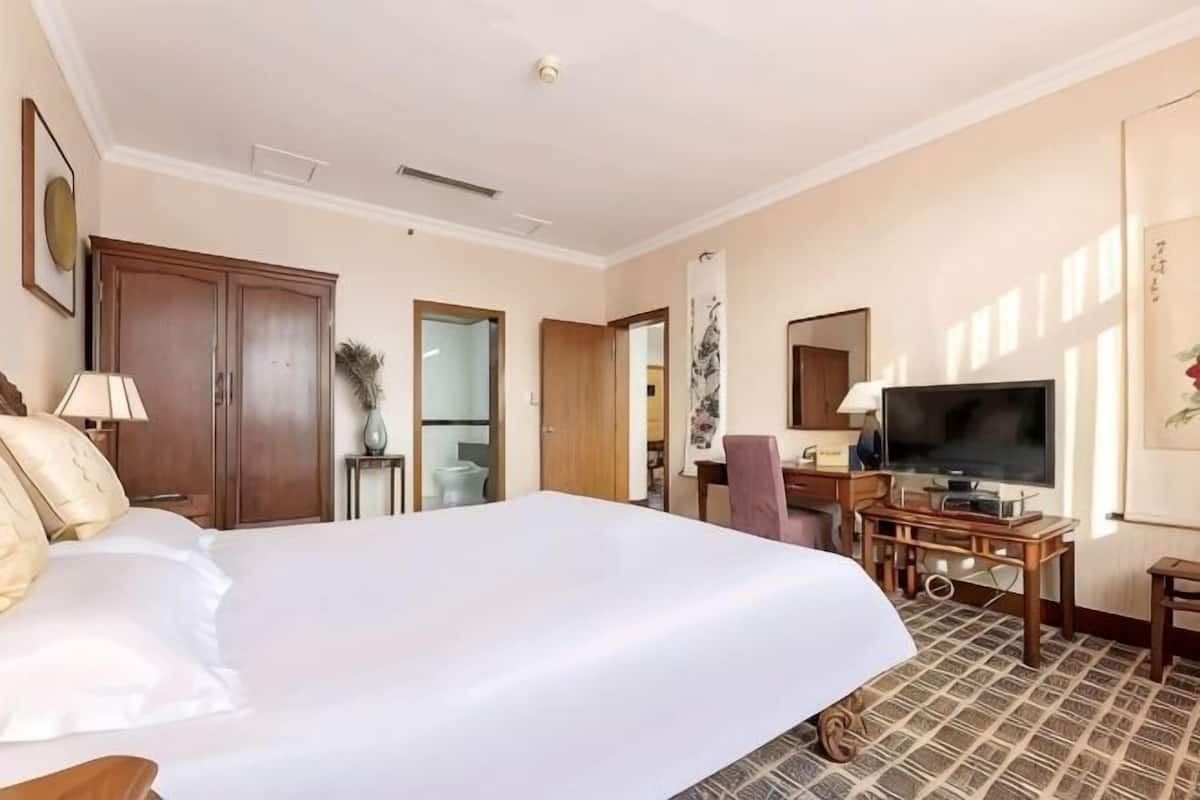 Una habitación de hotel con una cama grande, un escritorio con televisor, una silla y un armario.