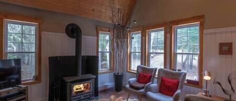 TV, peis og DVD-spiller