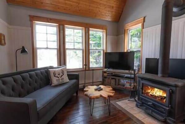 TV, DVD player - Charlevoix - Chalet Le St-germain (Saint-Aimé-des-Lacs)