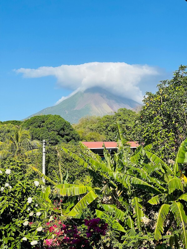 Premium bedding, Select Comfort beds, individually decorated - Hostal Eden Ometepe (Moyagalpa)